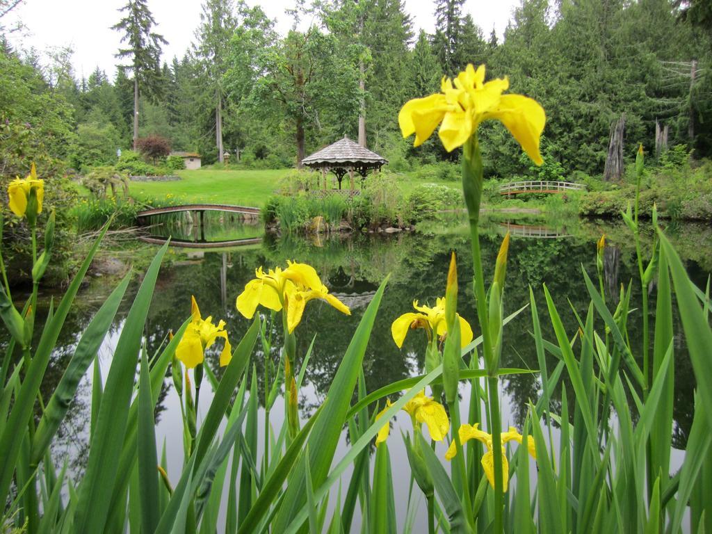 A Hidden Haven Cottages Port Angeles Buitenkant foto