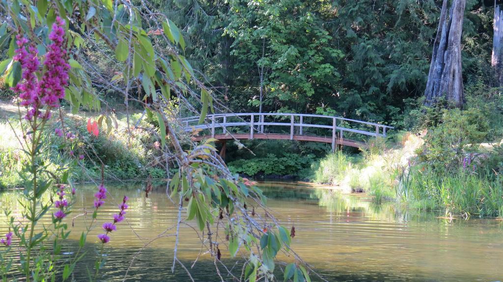 A Hidden Haven Cottages Port Angeles Buitenkant foto