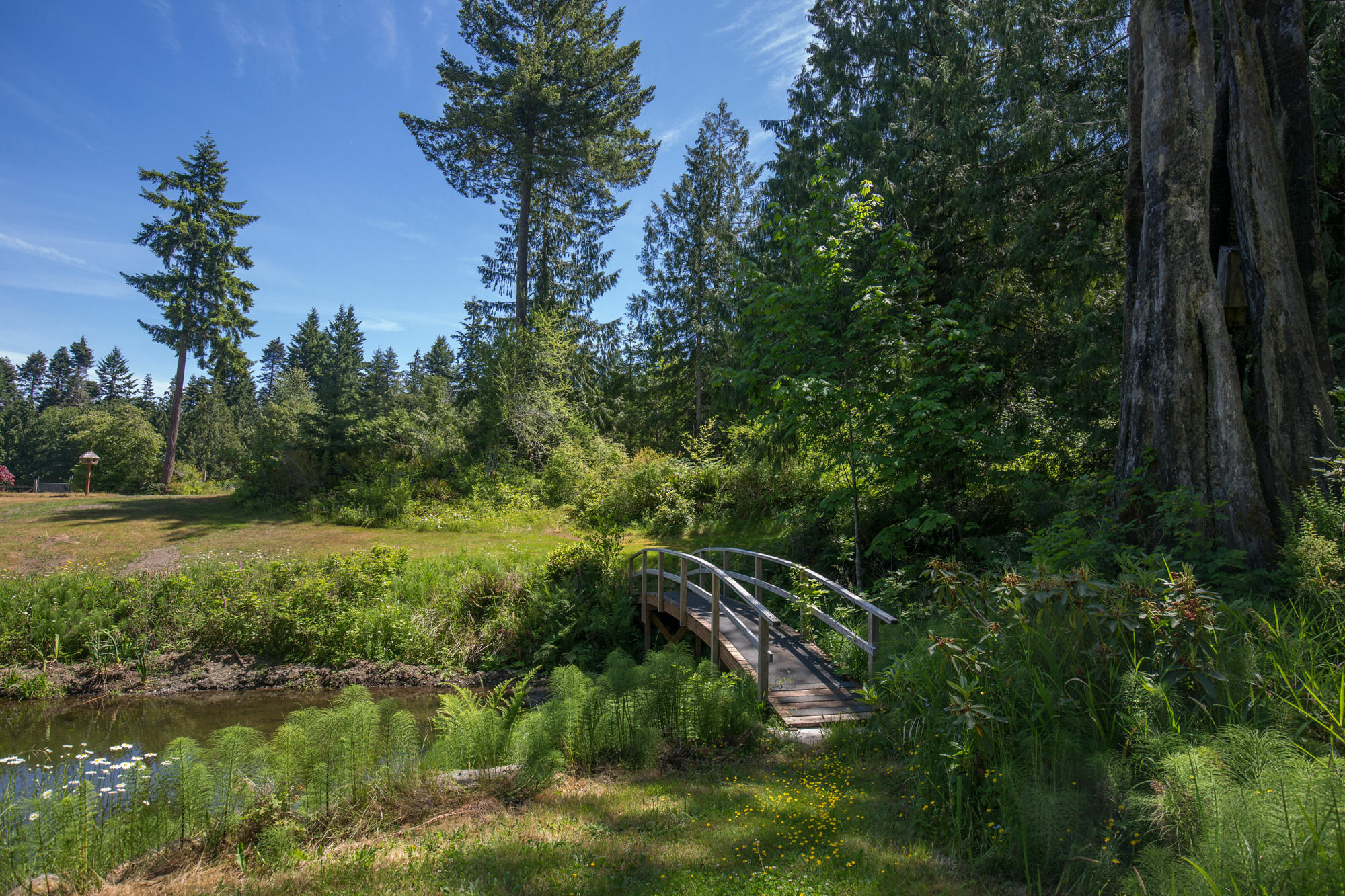 A Hidden Haven Cottages Port Angeles Buitenkant foto