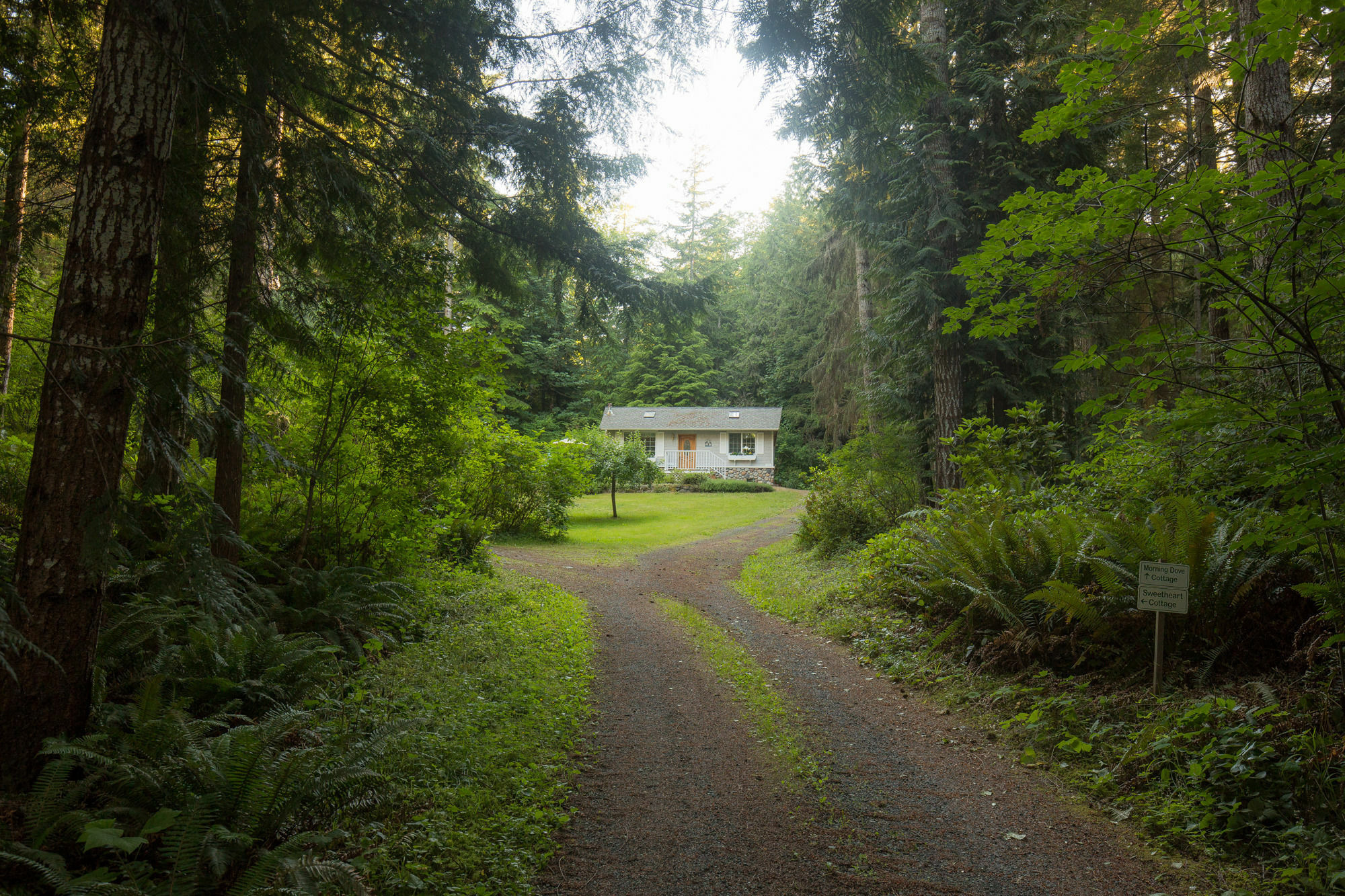 A Hidden Haven Cottages Port Angeles Buitenkant foto